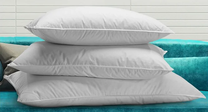 The Renaissance Pillow